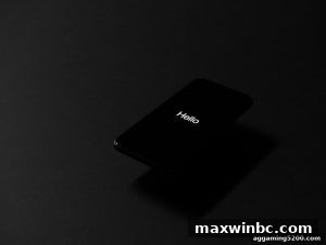 AG真人 maxwinbc